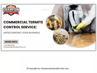 Commercial Termite Control Service Safeguarding Your Business