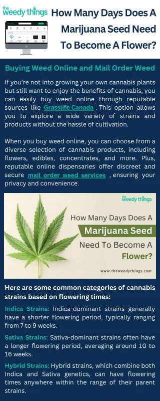 how many days does a marijuana seed need
