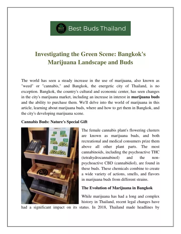 investigating the green scene bangkok s marijuana