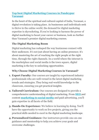 Top best Digital Marketing Courses in Pandeypur Varanasi (1)