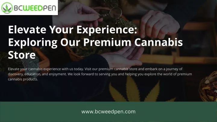 elevate your experience exploring our premium