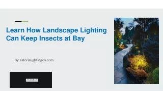 Learn How Landscape Lighting Can Keep Insects at Bay