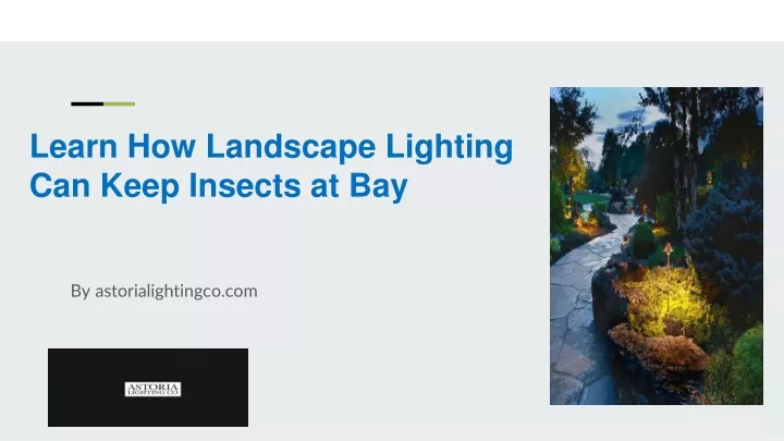 learn how landscape lighting can keep insects