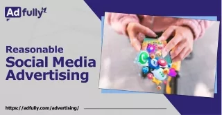 Adfully's Budget-Friendly Social Media Advertising