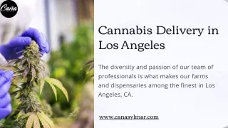 Cannabis Delivery in Los Angeles | Cana Sylmar