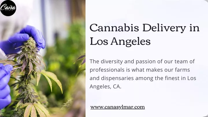 cannabis delivery in los angeles