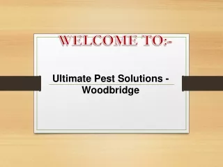 welcome to