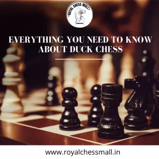 EVERYTHING YOU NEED TO KNOW ABOUT DUCK CHESS