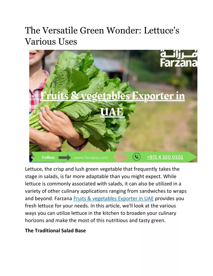 the versatile green wonder lettuce s various uses