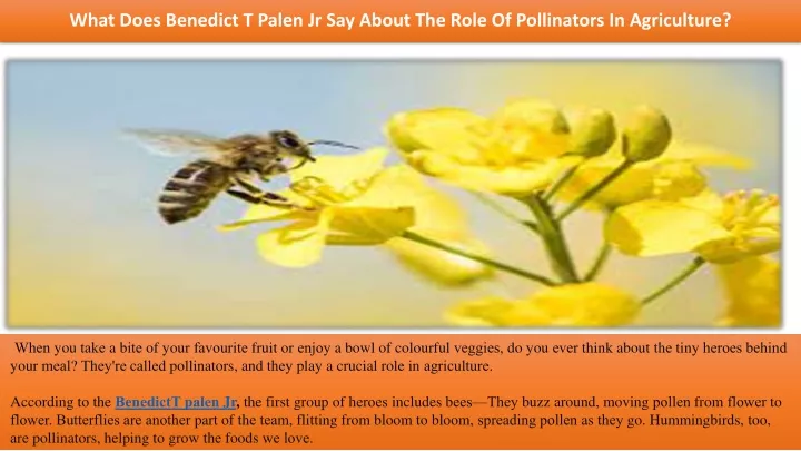 what do s b n dict t pal n jr say about th rol of pollinators in agricultur