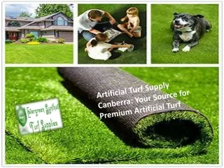 Artificial Turf Supply Canberra Your Source for Premium Artificial Turf