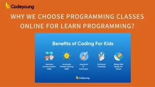 Explore The World Of Coding With Programming Classes Online
