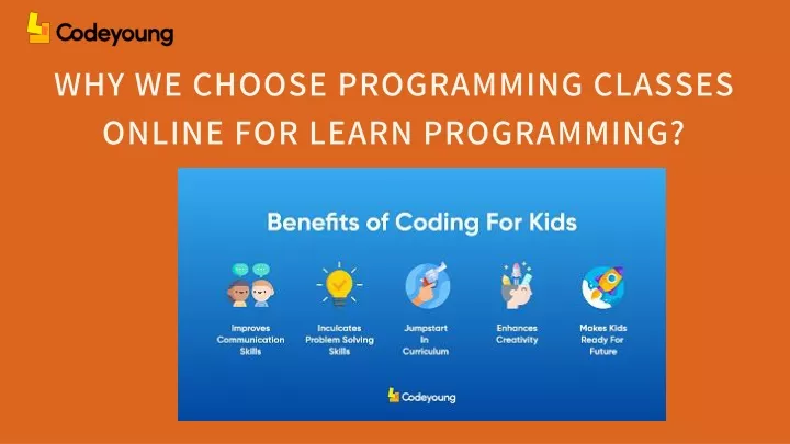 why we choose programming classes online