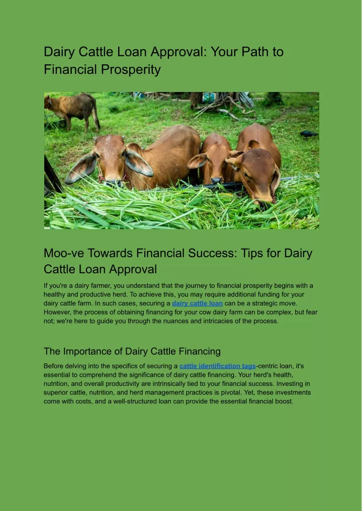 dairy cattle loan approval your path to financial
