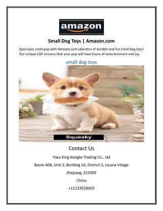 Small Dog Toys | Amazon.comq