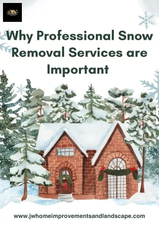 Why Professional Snow Removal Services are Important