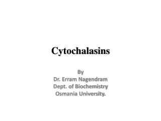 cytochalasins and cytokinesis