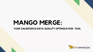 Mango Merge - Your Salesforce Data Quality Optimization Tool