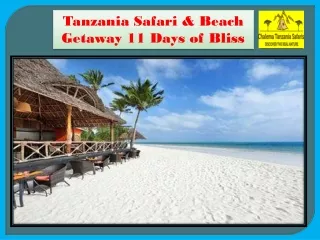 Tanzania Safari & Beach Getaway 11 Days of Bliss