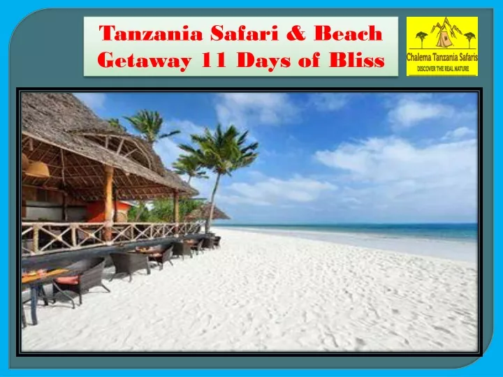 tanzania safari beach getaway 11 days of bliss
