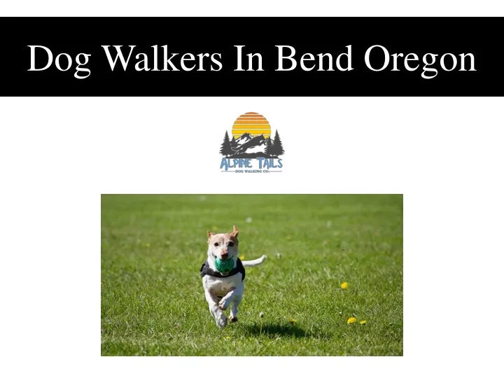 dog walkers in bend oregon