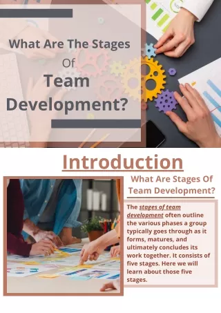 Stages Of Team Development