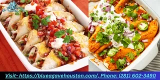 visit https blueagavehouston com phone