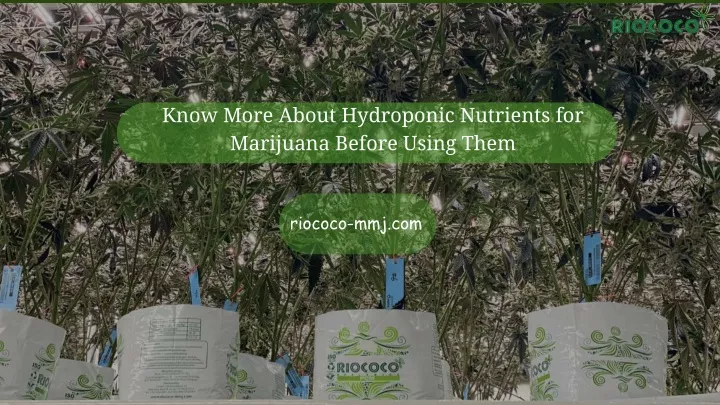 know more about hydroponic nutrients