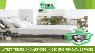 Latest Trends and Methods in Bed Bug Removal Services