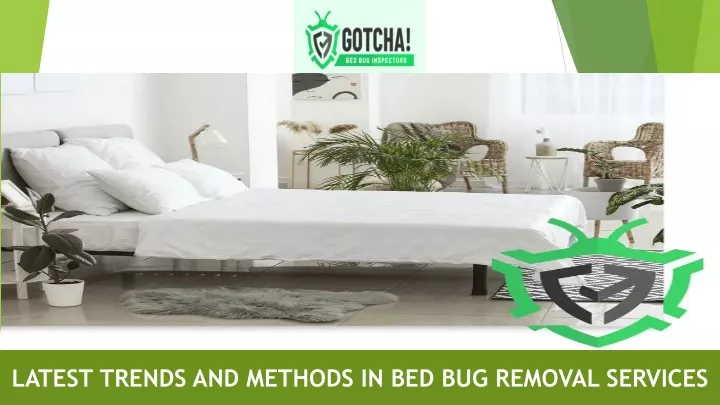 latest trends and methods in bed bug removal