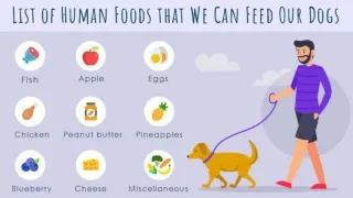 List of Human Foods that we can Feed Our Dogs