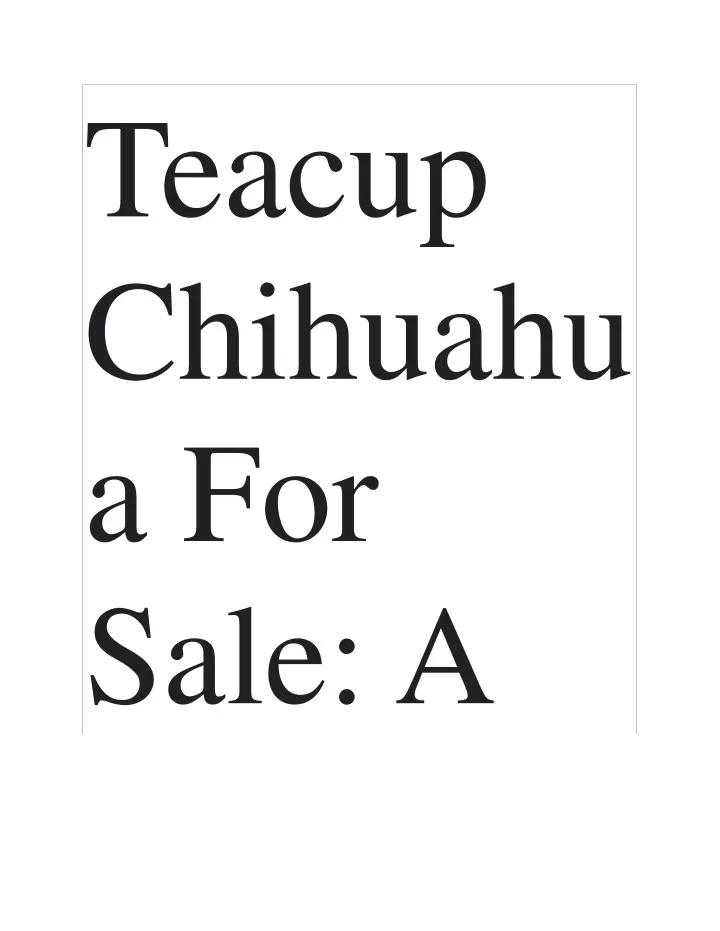 teacup chihuahu a for sale a