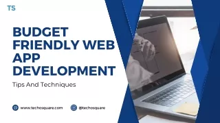 budget friendly web app development tips