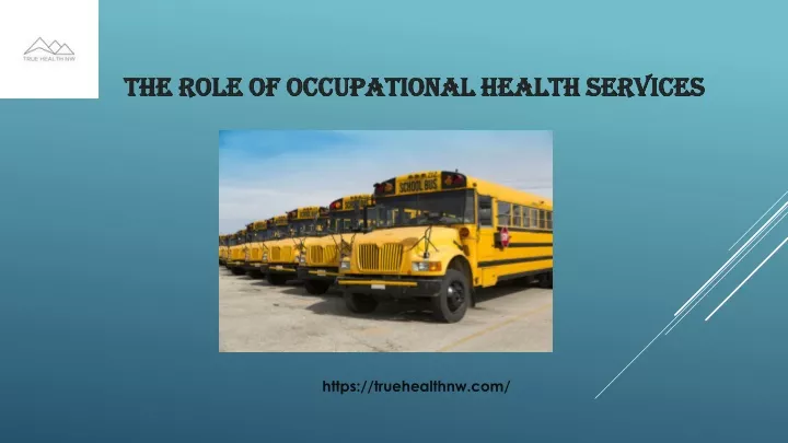 the role of occupational health services
