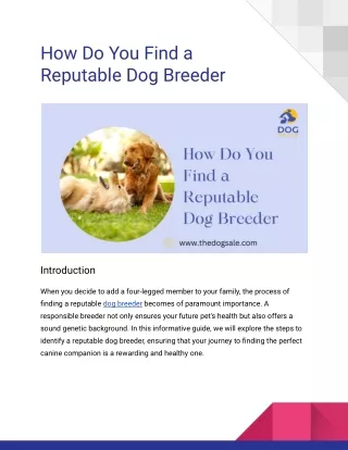How Do You Find a Reputable Dog Breeder