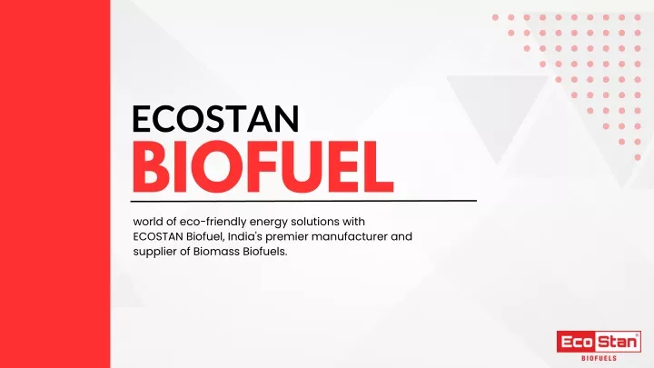 ecostan biofuel world of eco friendly energy
