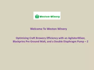 Optimizing Craft Brewery Efficiency with an AgitatorMixer, Blackprinz Pre Ground Malt, and a Double Diaphragm Pump – 2