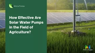 How Effective Are Solar Water Pumps in the Field of Agriculture?