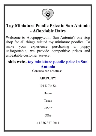 Toy Miniature Poodle Price in San Antonio - Affordable Rates