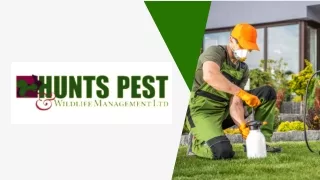Pest Control Sawtry