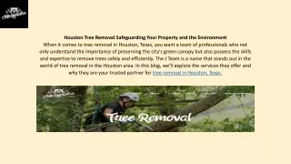 Houston Tree Removal Safeguarding Your Property and the Environment