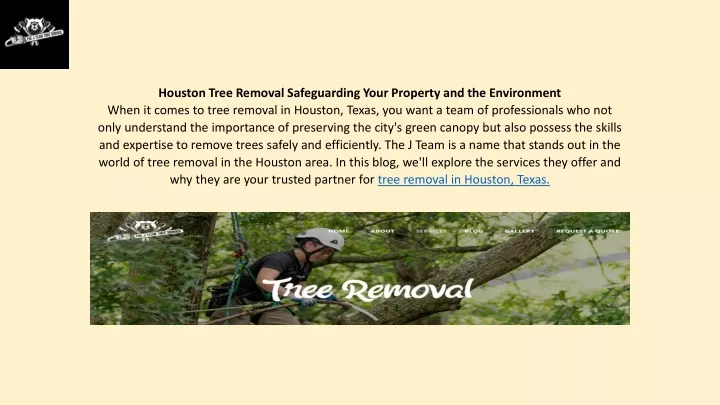 houston tree removal safeguarding your property