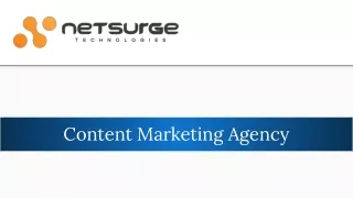 Content Marketing Agency - Netsurge