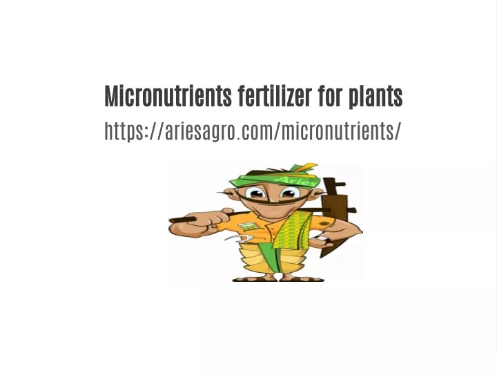 micronutrients fertilizer for plants https