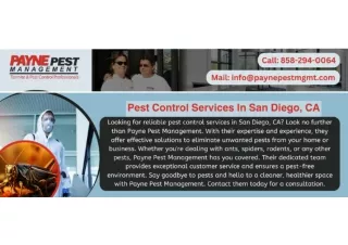 Professional Pest Control Services in Southern California