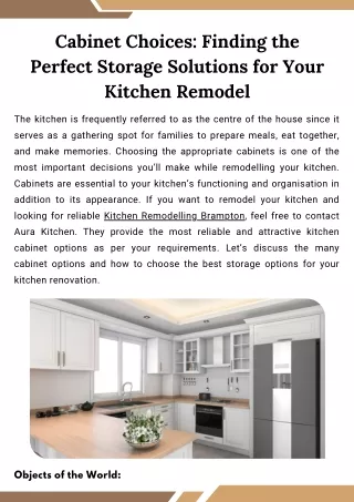 Cabinet Choices Finding the Perfect Storage Solutions for Your Kitchen Remodel