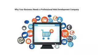 Why Your Business Needs a Professional Web Development