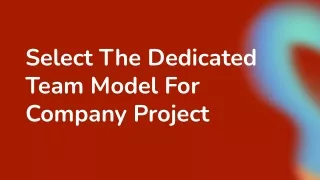 select the dedicated team model for company