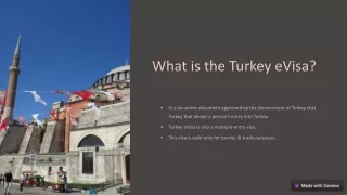 Apply for a Turkey Visa Online| Easiest Visa Application Process| Official Webs