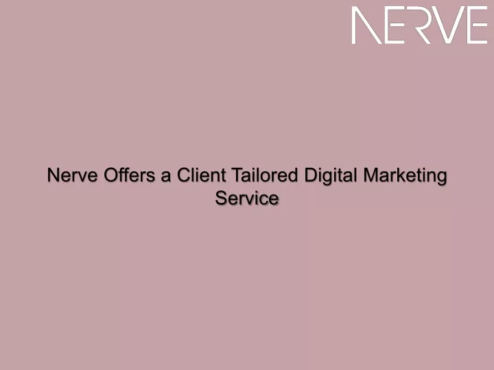nerve offers a client tailored digital marketing